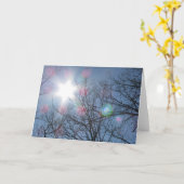 空白のな挨拶状 カード (黄色い花)