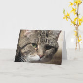 空白のな挨拶状 カード (黄色い花)