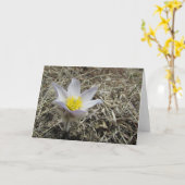 空白のな挨拶状 カード (黄色い花)