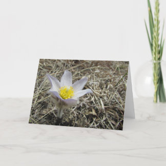 空白のな挨拶状 カード