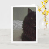 空白のな挨拶状 カード (黄色い花)