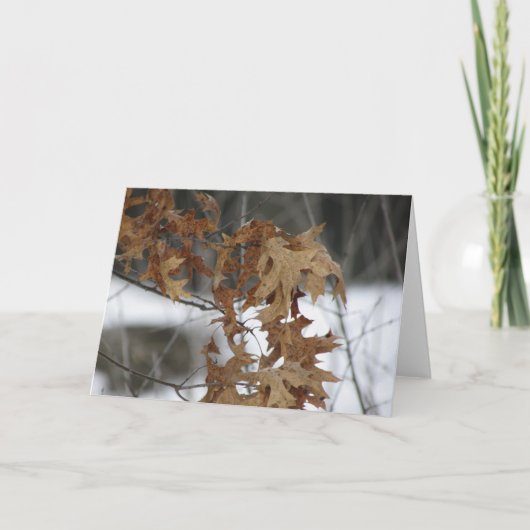 空白のな挨拶状 カード (正面)