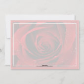 空白のな挨拶状 シーズンカード (裏面)