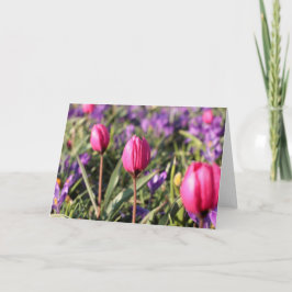 空白のな挨拶状: 春の花 カード