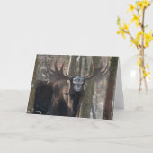 空白のな挨拶状: 笑うアメリカヘラジカ カード (黄色い花)