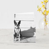 空白のな犬のnotecard カード (黄色い花)