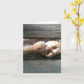 空白のな猫のメッセージカード カード (黄色い花)