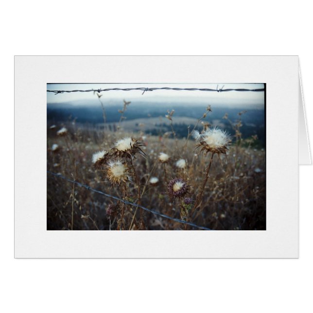 空白のな花柄 (正面横)