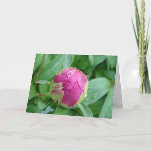 空白のようこそ春 カード (正面)