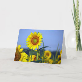 空白のカスタマイズの内部 カード