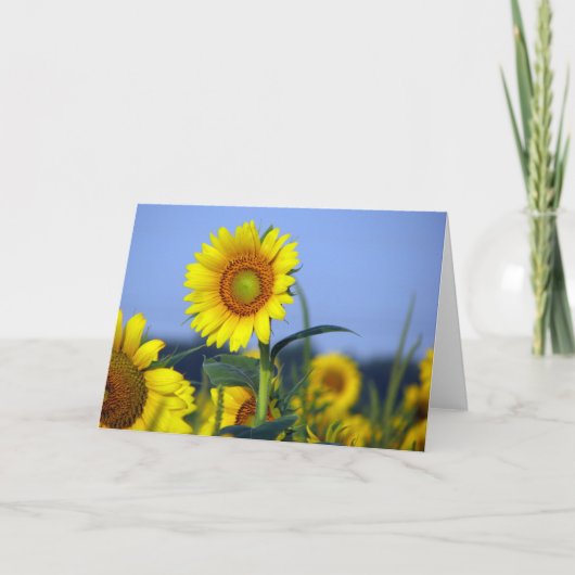 空白のカスタマイズの内部 カード (正面)