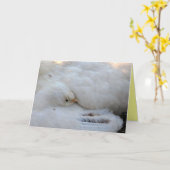 空白のカード カード (黄色い花)