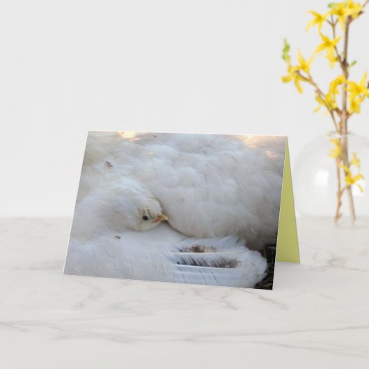 空白のカード カード (黄色い花)