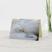 空白のカード カード (正面)