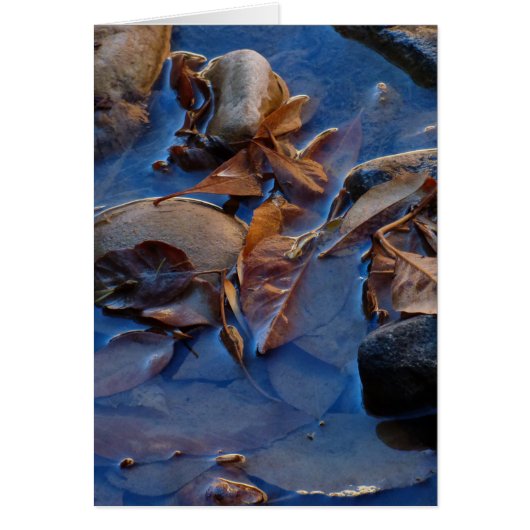 空白の内側葉 (正面)