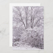 空白の冬の風景 シーズンカード (正面/裏面)