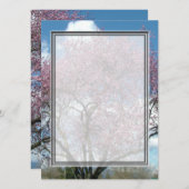 空白の招待状, 桜の木のイラスト 招待状 (正面/裏面)