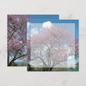 空白の招待状, 桜の木の下で 招待状 (正面/裏面)