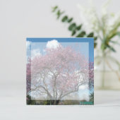 空白の招待状, 桜の木の下で 招待状 (スタンド正面)