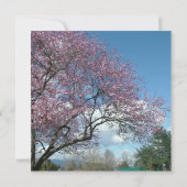 空白の招待状, 桜の木の下で 招待状 (裏面)