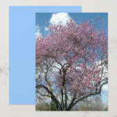 空白の招待状, 桜の木の下 招待状 (正面/裏面)