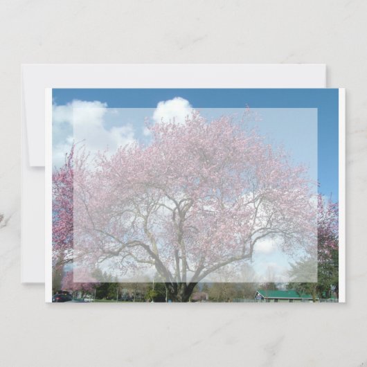 空白の招待状、桜の木 招待状 (正面)