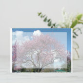 空白の招待状、桜の木 招待状 (スタンド正面)