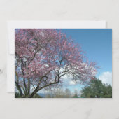 空白の招待状、桜の木 招待状 (裏面)