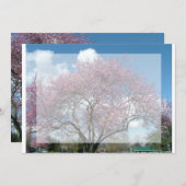 空白の招待状、桜の木 招待状 (正面/裏面)