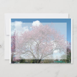 空白の招待状、桜の木 招待状