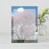 空白の招待状, 桜の木 招待状 (スタンド正面)