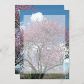空白の招待状, 桜の木 招待状 (正面/裏面)