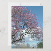 空白の招待状, 桜の木 招待状 (裏面)