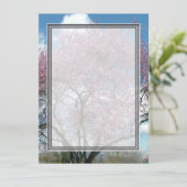 空白の招待状, 桜の木 招待状 (スタンド正面)