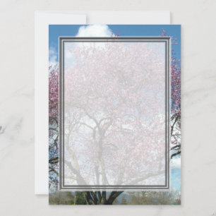 空白の招待状, 桜の木 招待状