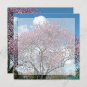 空白の招待状, 桜の木 招待状 (正面/裏面)