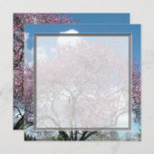 空白の招待状, 桜の木 招待状 (正面/裏面)