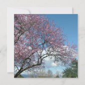 空白の招待状, 桜の木 招待状 (裏面)