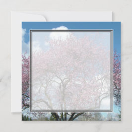 空白の招待状, 桜の木 招待状