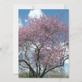 空白の招待状, 桜の木 招待状