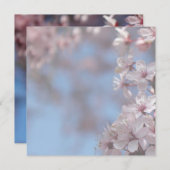 空白の招待状, 桜の木 招待状 (正面/裏面)