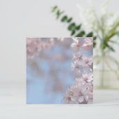 空白の招待状, 桜の木 招待状 (スタンド正面)