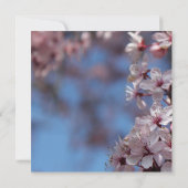 空白の招待状, 桜の木 招待状 (裏面)