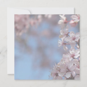 空白の招待状、桜の木 招待状