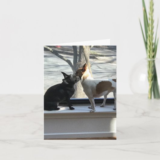 空白の札 サンキューカード (正面)