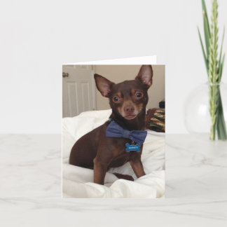 空白の札 サンキューカード