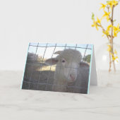 空白の羊の札 カード (黄色い花)