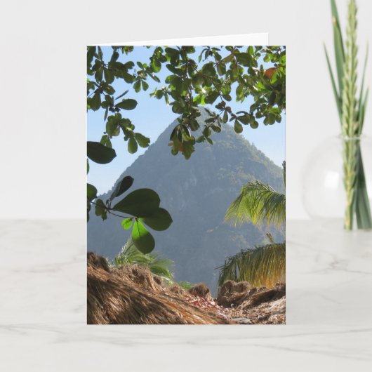 空白の誕生日 カード (正面)