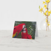 空白の赤いパラオのグリーティングカード カード (黄色い花)