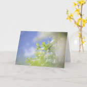 空白の鳥の桜の木の花  空 カード (黄色い花)